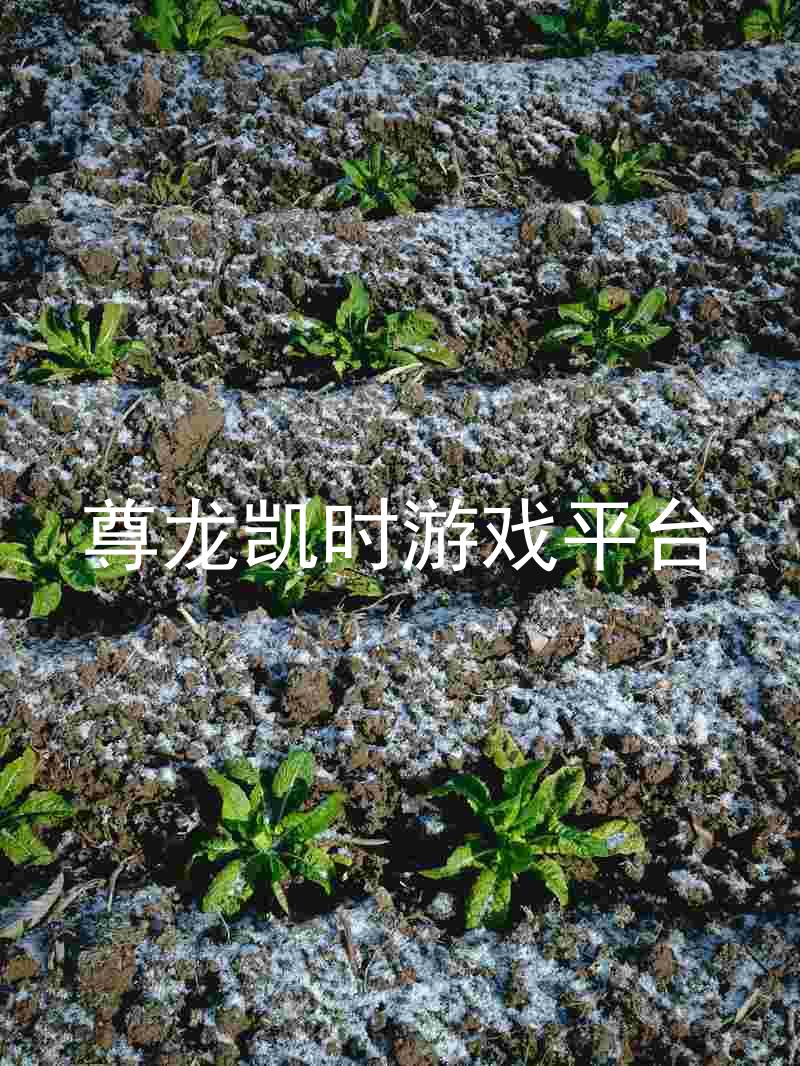 尊龙凯时游戏平台