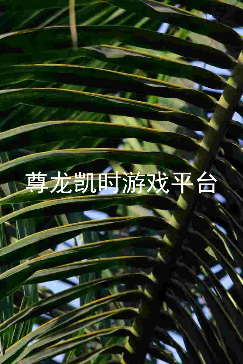 尊龙凯时游戏平台