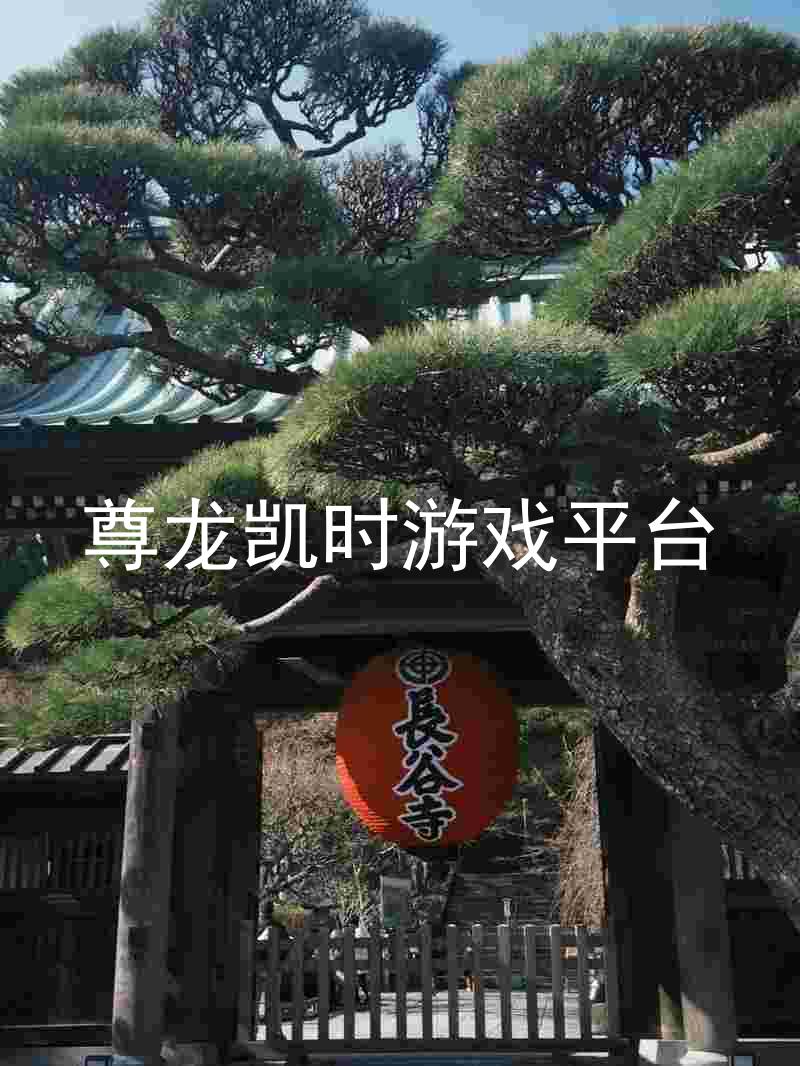 尊龙凯时游戏平台