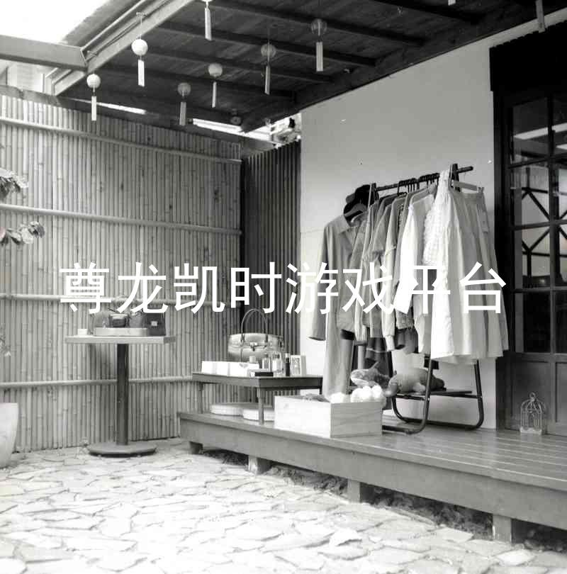 尊龙凯时游戏平台