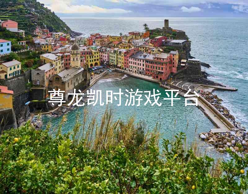 尊龙凯时游戏平台